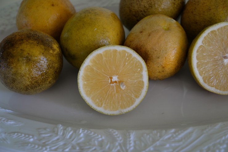 1-lemons-all-asundry