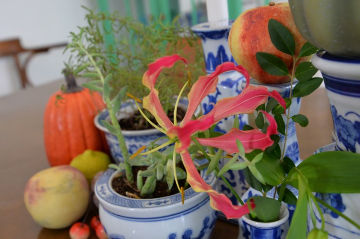 glory lilly bloom in small vase