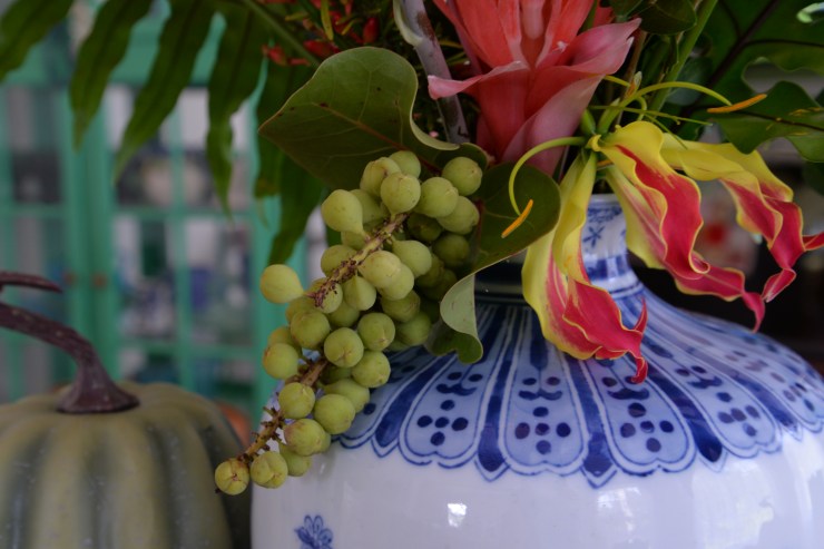 sea grape, glori lilly, bromeliad close up